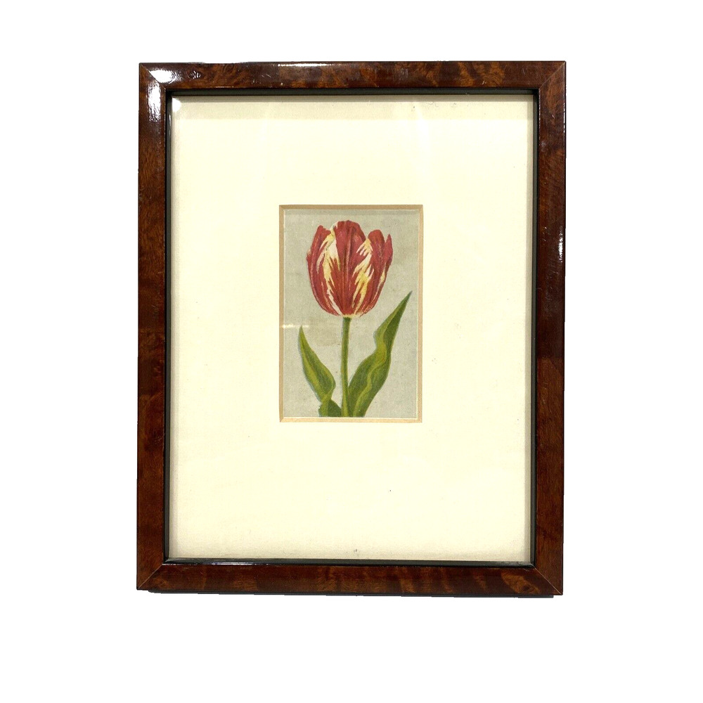 Antique 1916 Lithograph Artwork 'Rose by Bloem' Floral Print Small Wood Framed